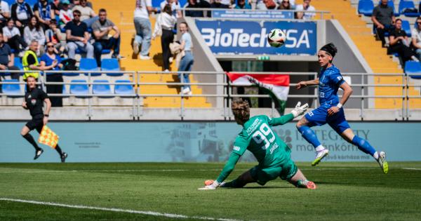 MAGABIZTOS GY�ZELEM HAZAI P�LY�N