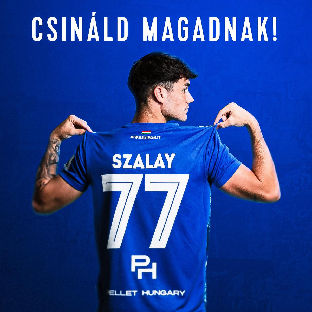 Csinld magadnak - mez tervez
